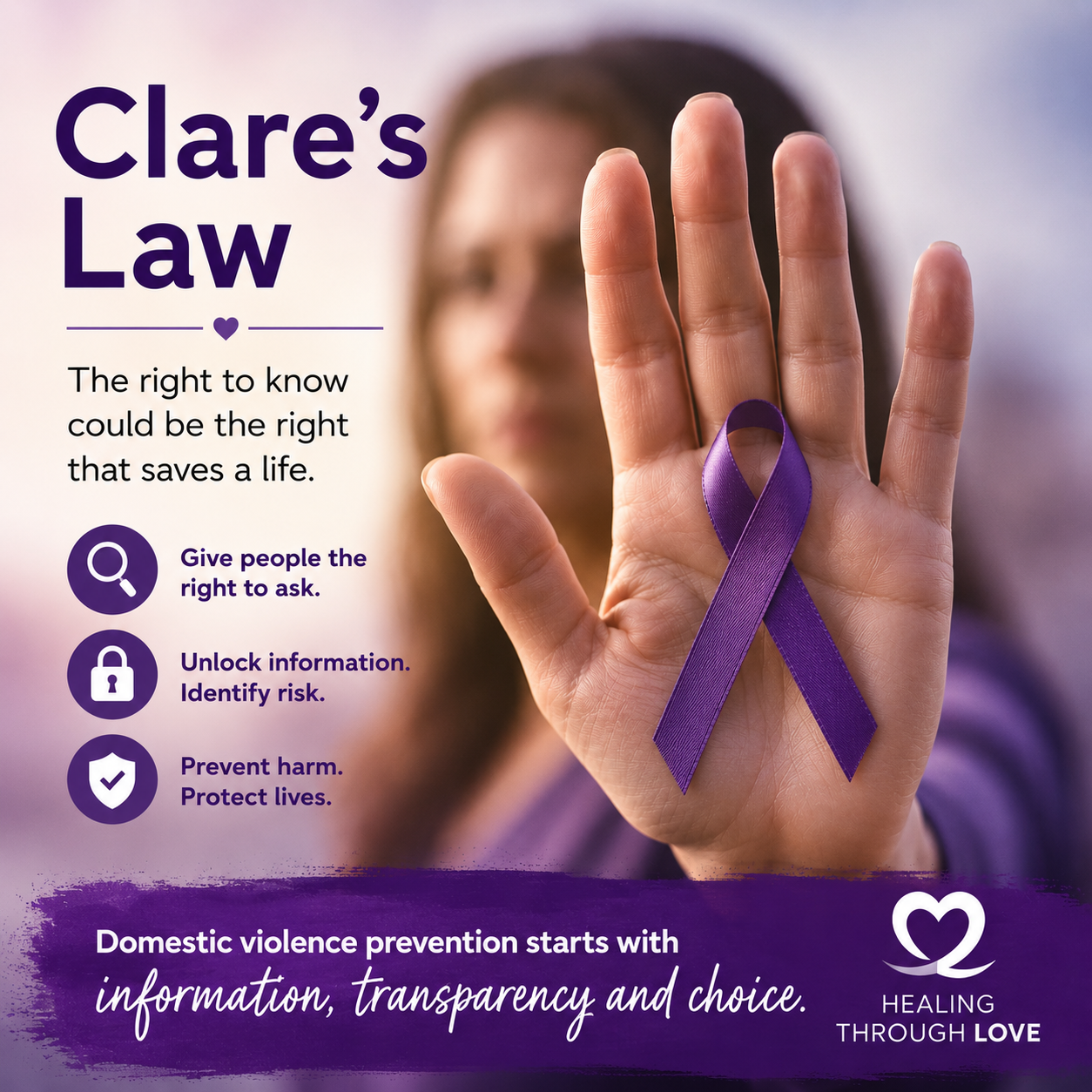 Domestic Violence Disclosure Scheme